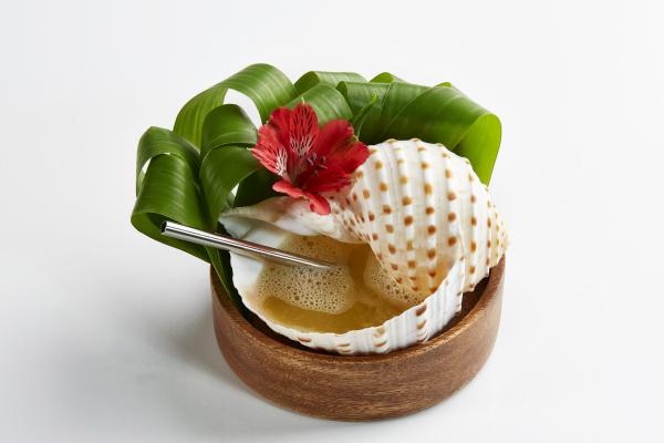 Артистическая натура